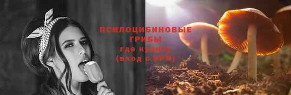 ALPHA PVP Верея