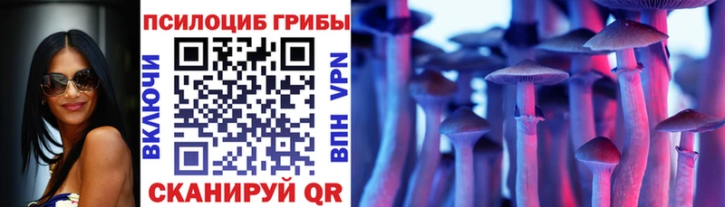 Псилоцибиновые грибы Psilocybine cubensis  Купить где  Лобня 